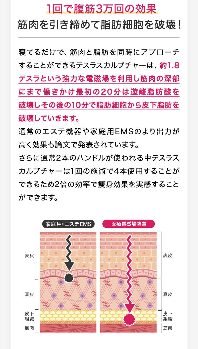 1回で腹筋3万回の効果/筋肉を引き締めて脂肪細胞を破壊